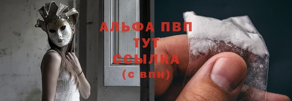 apvp Карпинск