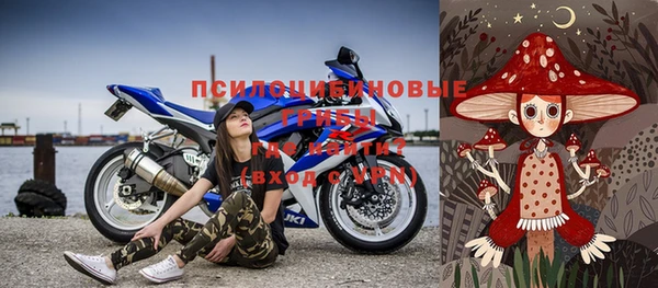 apvp Карпинск