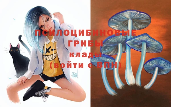mdpv Каменск-Шахтинский