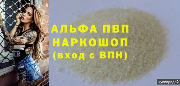 apvp Карпинск
