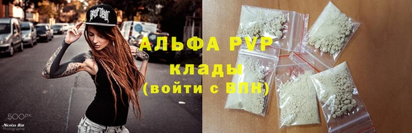 эйфоретик Касимов