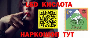 мдпв Будённовск