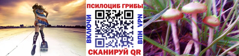 даркнет телеграм  Ишим  Галлюциногенные грибы прущие грибы 
