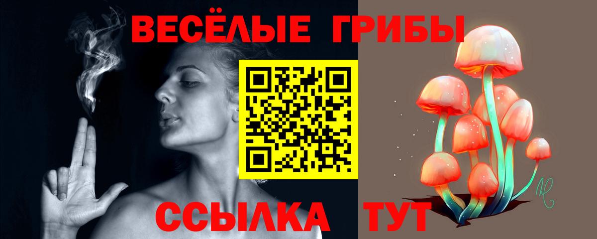 Галлюциногенные грибы MAGIC MUSHROOMS  Псилоцибиновые грибы Magic Shrooms  Ишим 